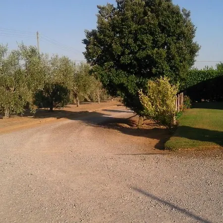 Monolocale Con Giardino Villa Castiglione della Pescaia Exterior photo