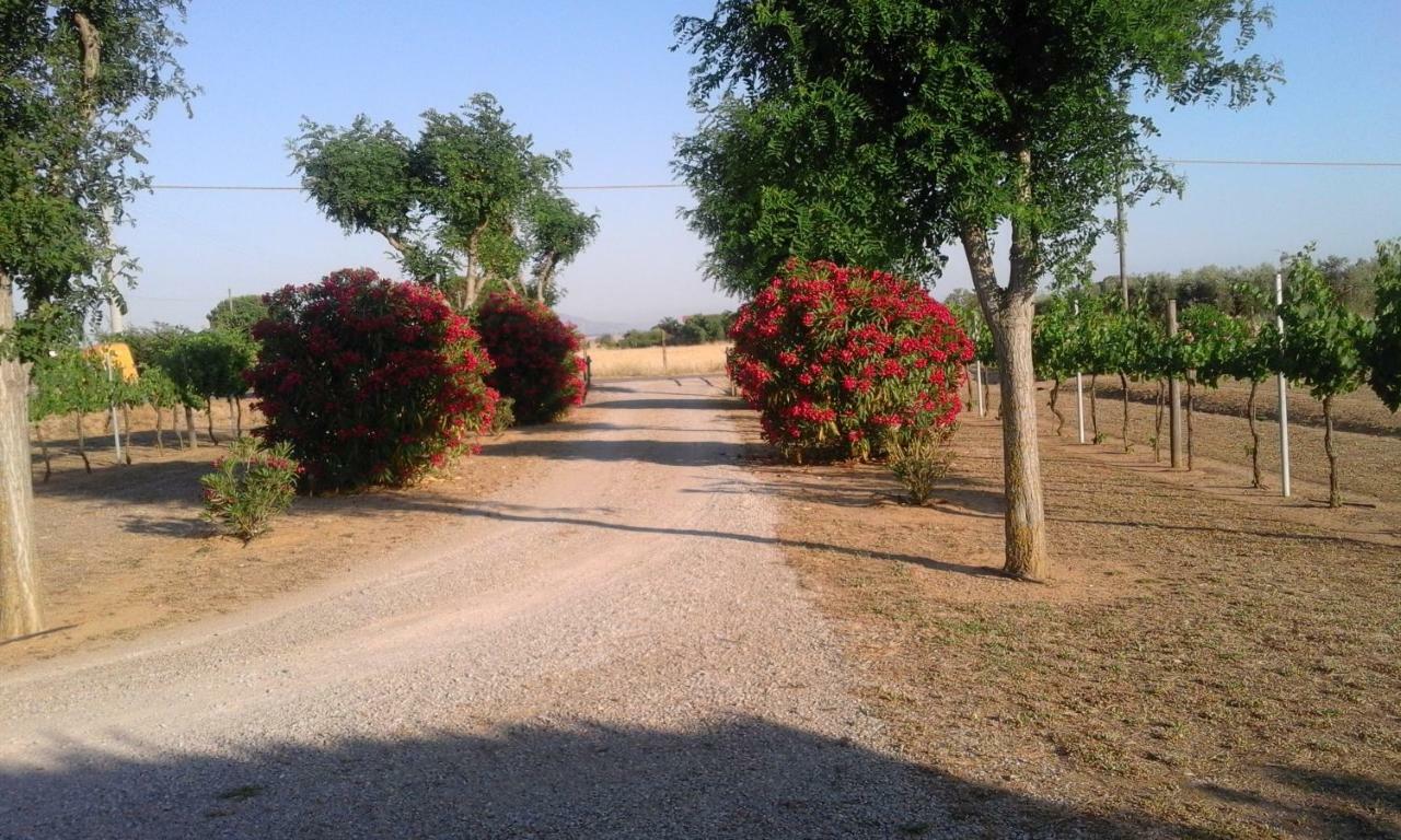 Casa vacanze Monolocale Con Giardino *